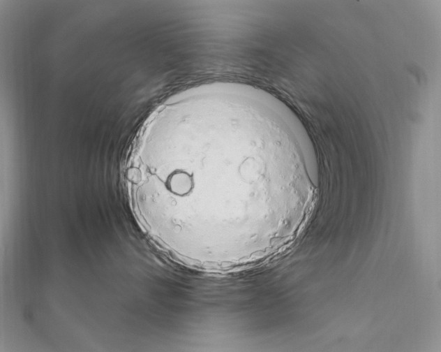 X0000110930528200907301626