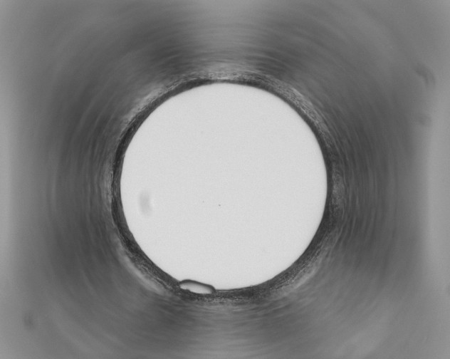 X0000110930530200907301625