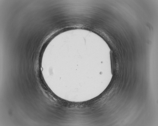 X0000110930532200907301625