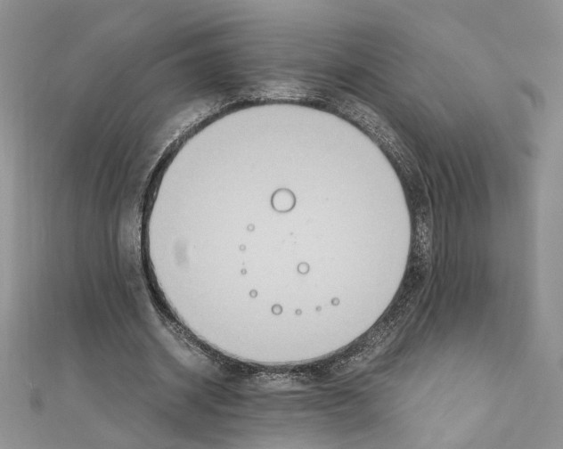 X0000110930534200907301626