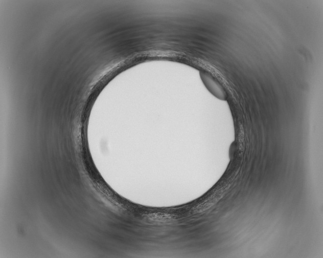 X0000110930535200907301626