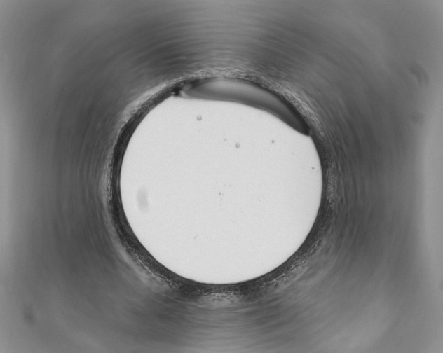 X0000110930536200907301626
