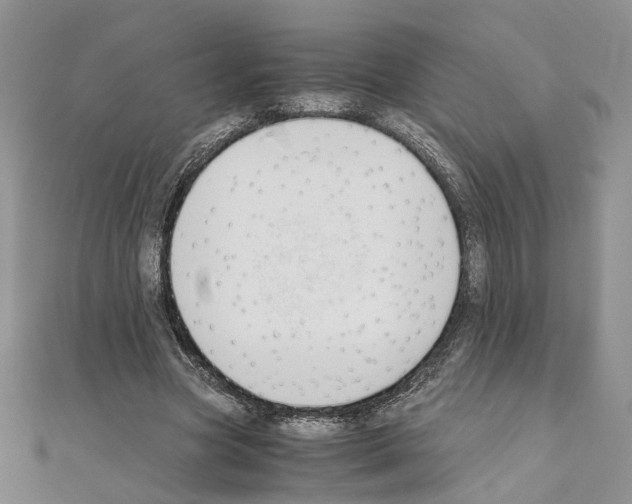 X0000110930537200907301626