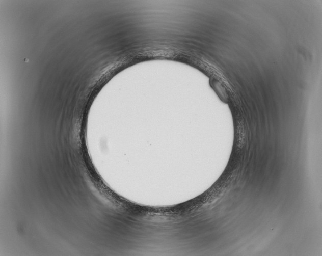 X0000110930538200907301626