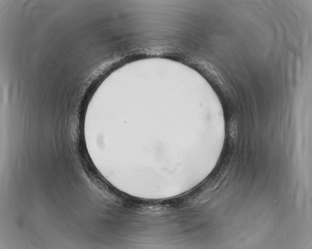 X0000110930540200907301626