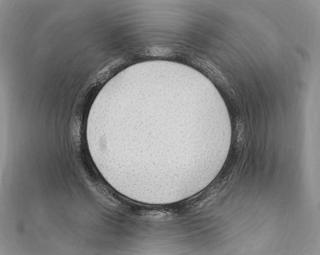 X0000110930542200907301626