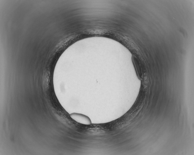 X0000110930544200907301626