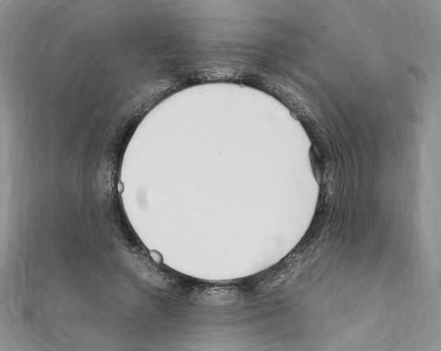 X0000110930546200907301626