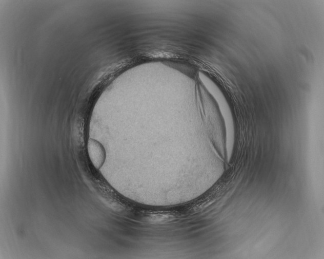 X0000110930547200907301626