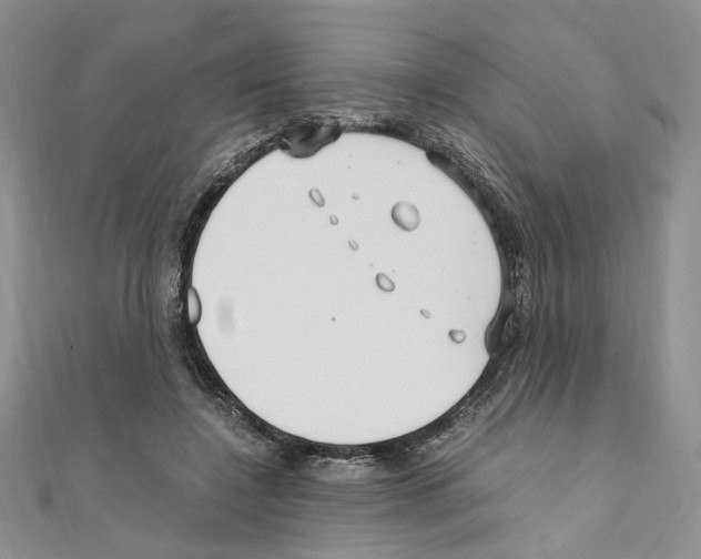 X0000110930548200907301626