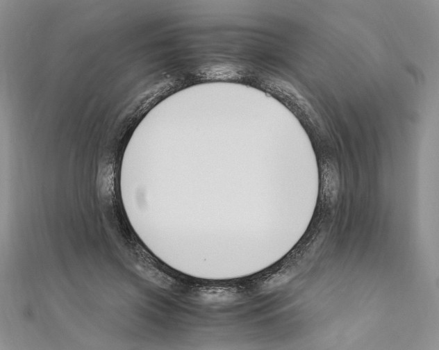 X0000110930549200907301626