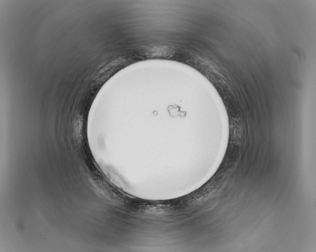 X0000110930550200907301626