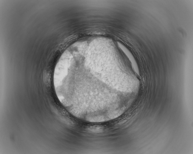 X0000110930551200907301626