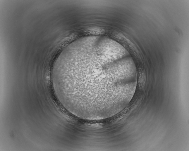 X0000110930553200907301626