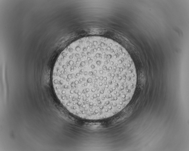 X0000110930554200907301626