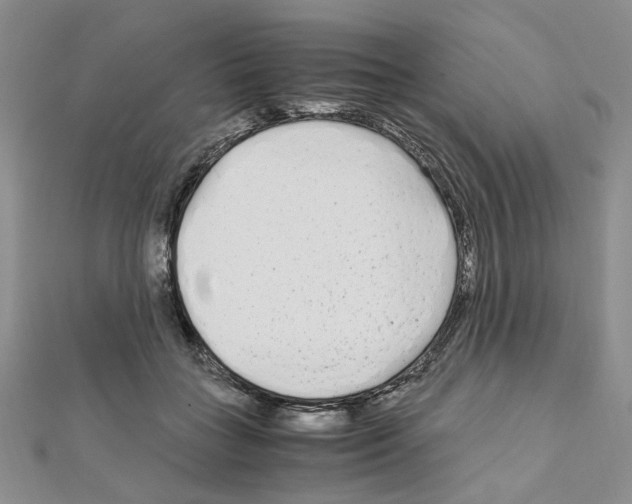 X0000110930555200907301626