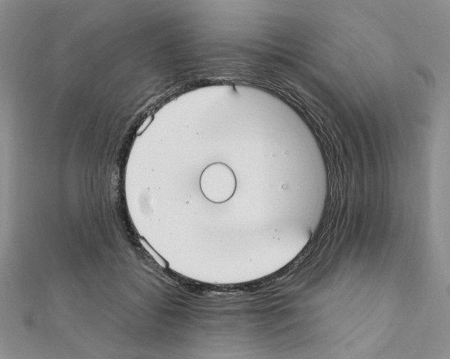 X0000110930556200907301626
