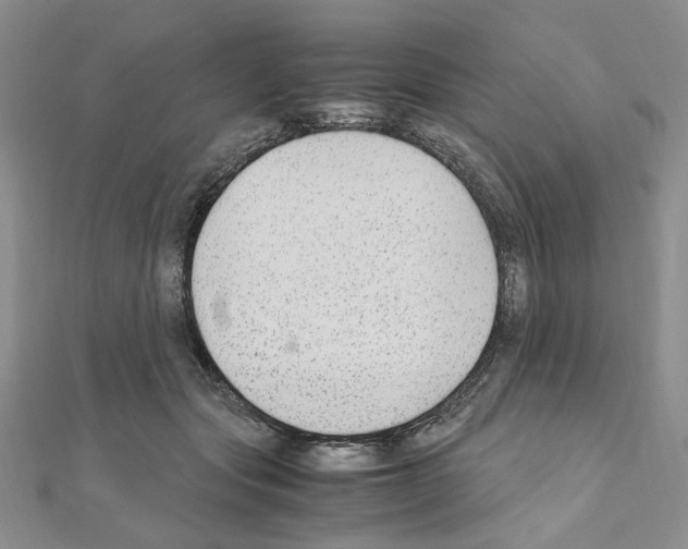 X0000110930557200907301626