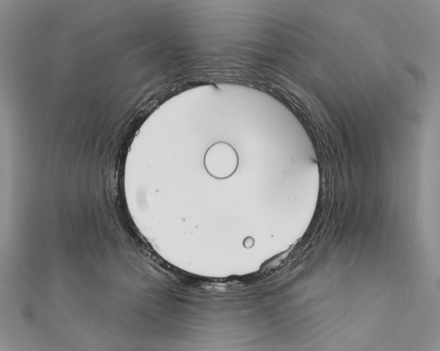 X0000110930558200907301626