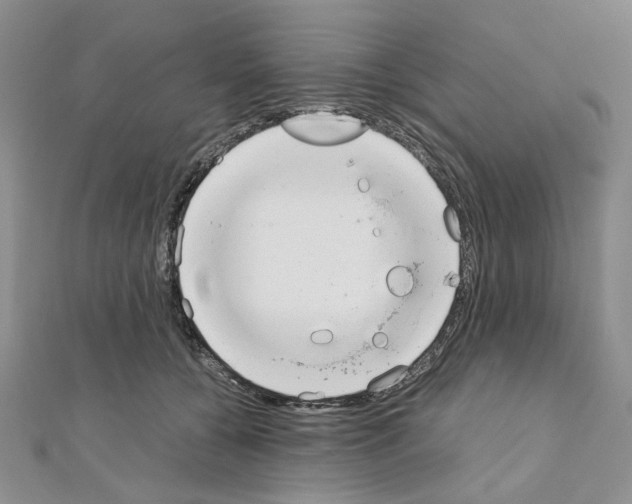 X0000110930560200907301626