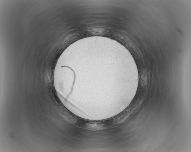 X0000110930561200907301626