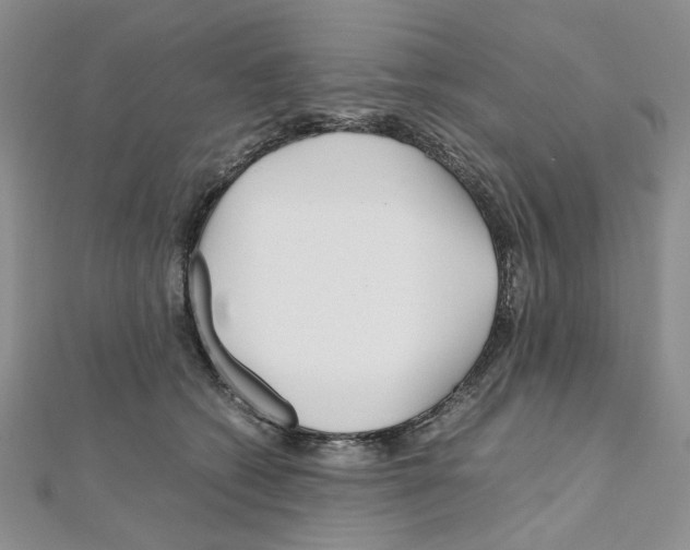 X0000110930562200907301626