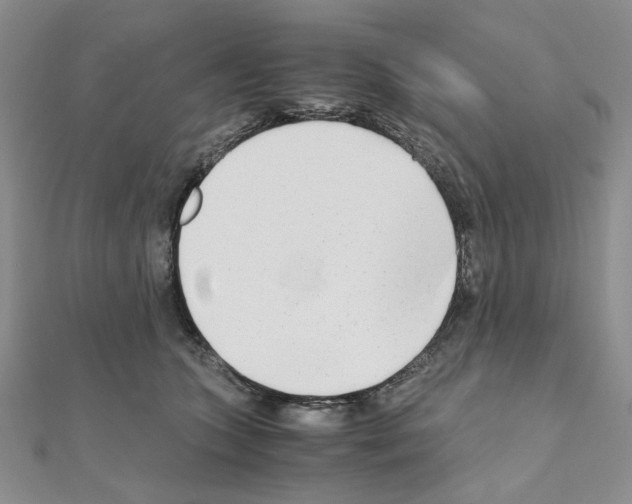 X0000110930563200907301626