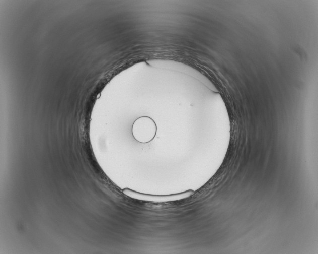 X0000110930564200907301626