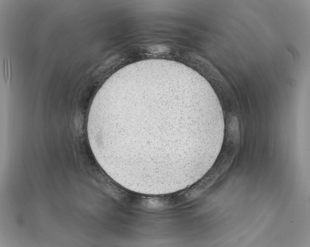 X0000110930565200907301626