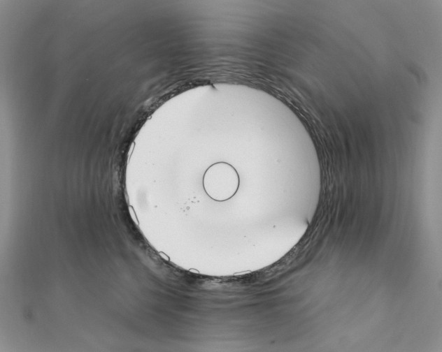 X0000110930568200907301626