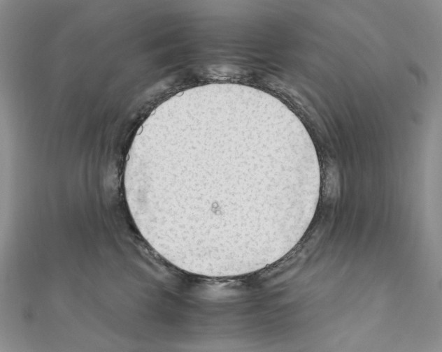 X0000110930569200907301626
