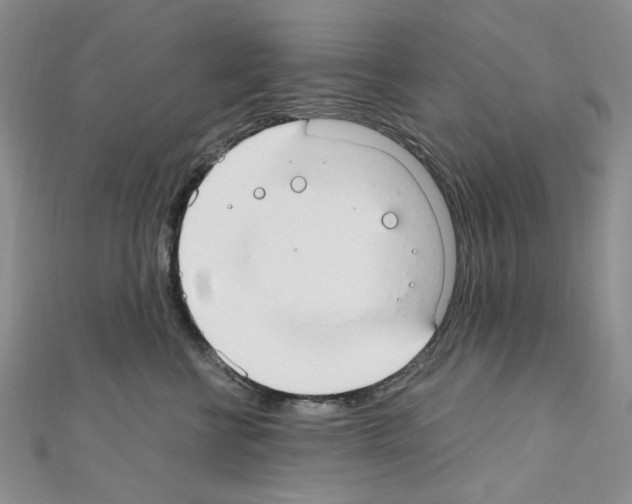 X0000110930570200907301626