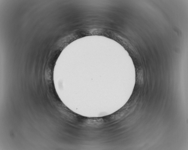 X0000110930571200907301626