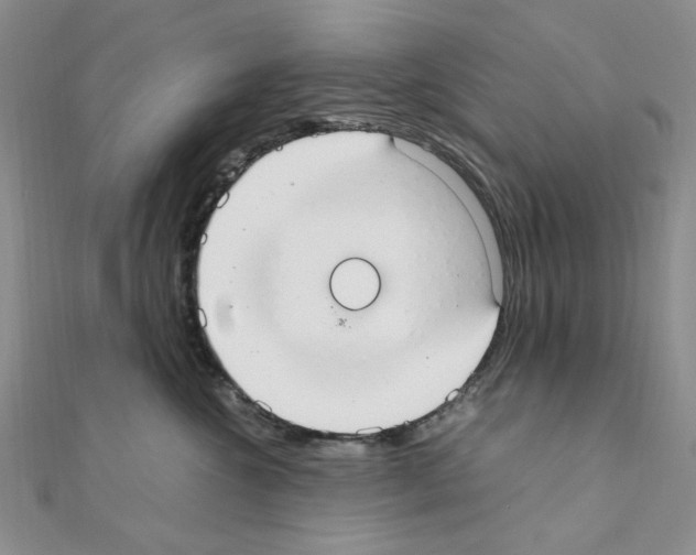 X0000110930572200907301626