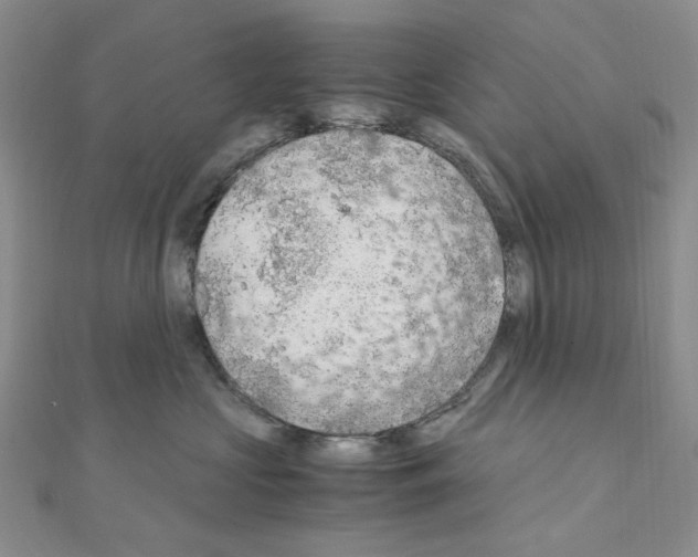 X0000110930573200907301626