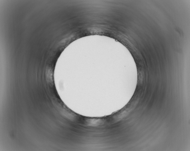 X0000110930575200907301626