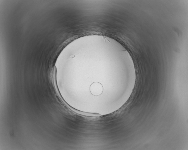 X0000110930576200907301626