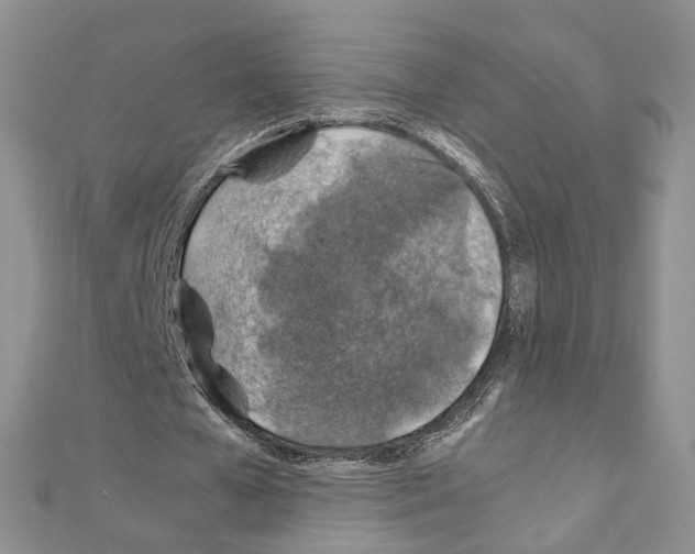 X0000110930577200907301625