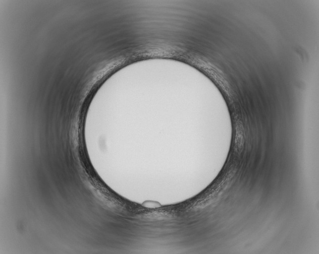 X0000110930578200907301625