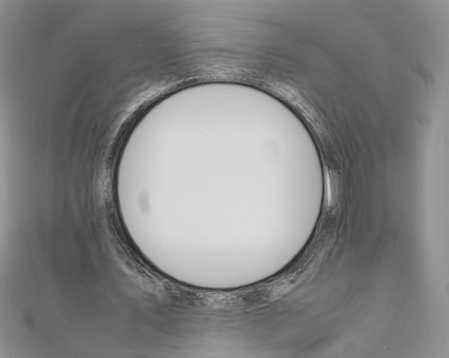 X0000110930579200907301625