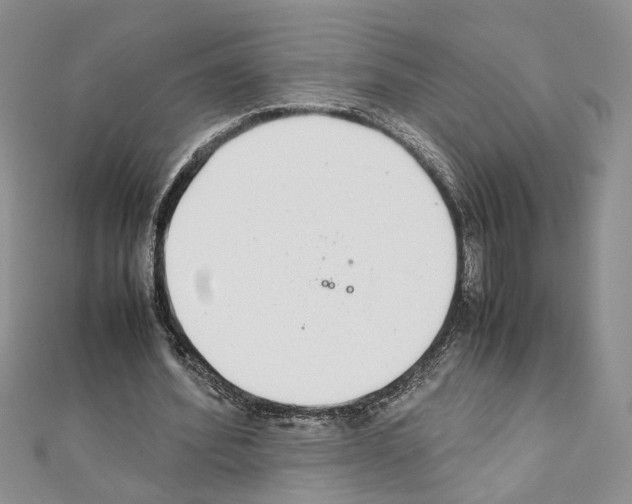X0000110930580200907301625
