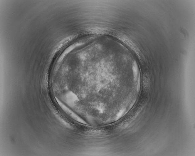 X0000110930581200907301625