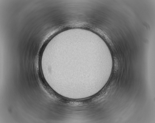 X0000110930582200907301625