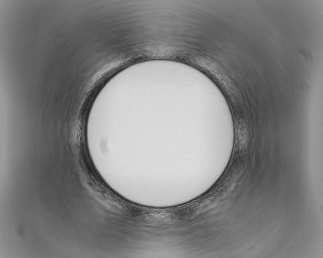 X0000110930583200907301625