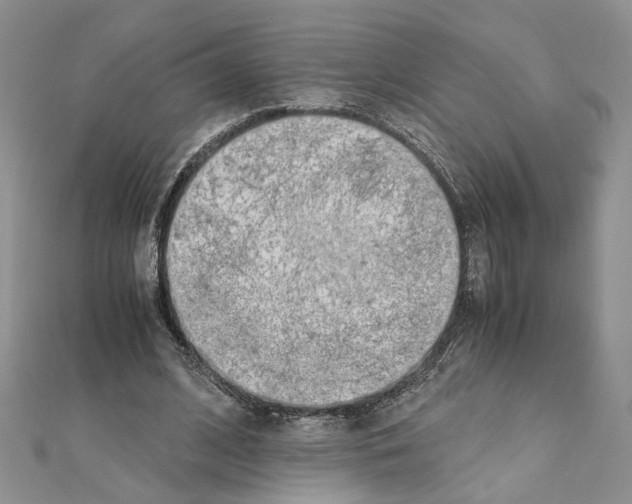 X0000110930584200907301625