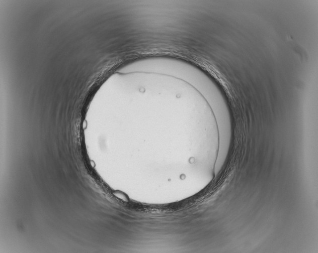 X0000110930585200907301625
