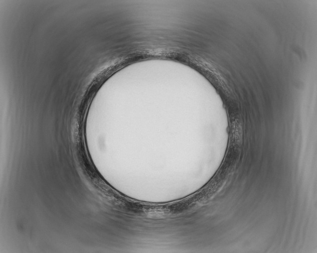 X0000110930587200907301625
