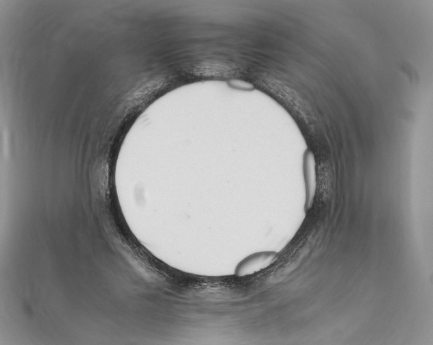 X0000110930589200907301625