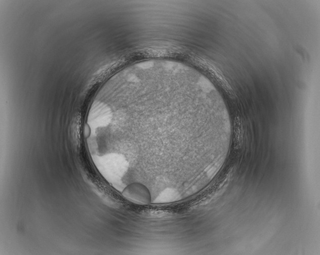 X0000110930590200907301625