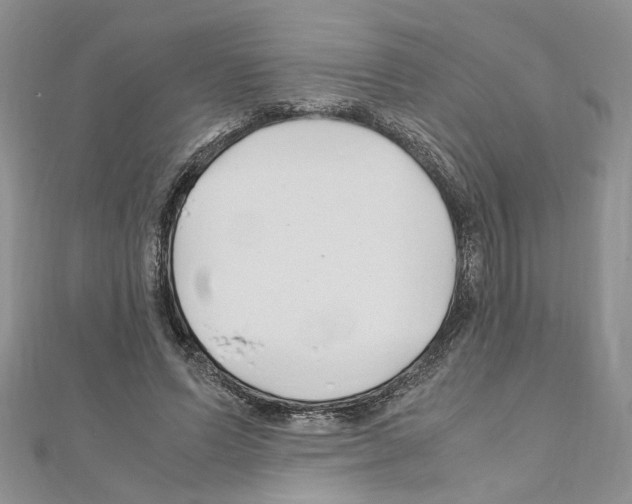 X0000110930591200907301625